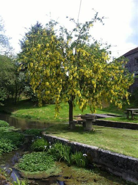 La Petite Maison Du Moulin De Scoville. Hamois ภายนอก รูปภาพ